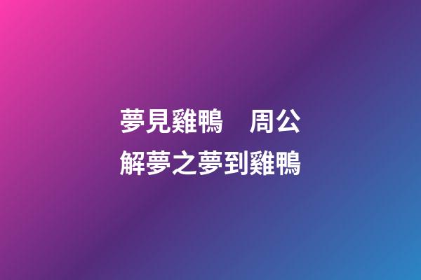 夢見雞鴨　周公解夢之夢到雞鴨